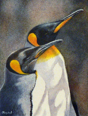 Tracy Hall. King penguins.