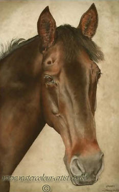 Tracy Hall. Портрет лошади.