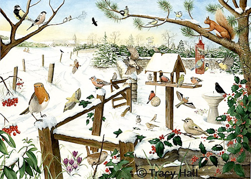 Tracy Hall. Птичий сад зимой.